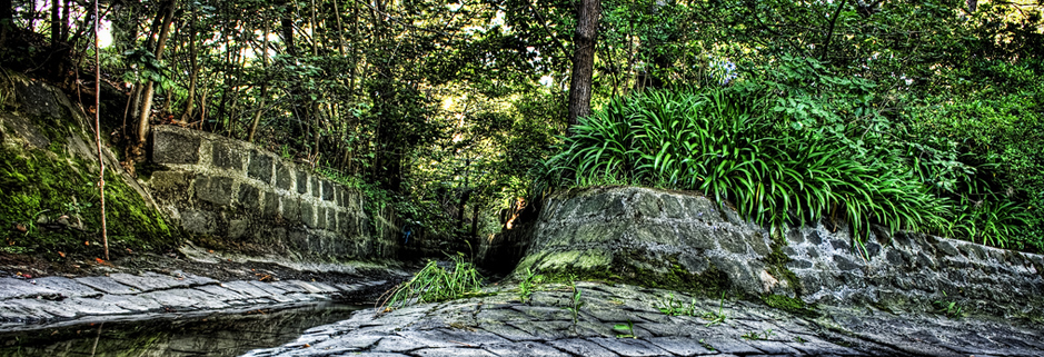 实惠的代充网站求的轰炸电话号码网站